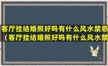 客厅挂结婚照好吗有什么风水禁忌（客厅挂结婚照好吗有什么风水禁忌嘛）