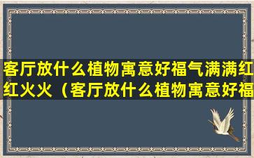 客厅放什么植物寓意好福气满满红红火火（客厅放什么植物寓意好福气满满红红火火的花）