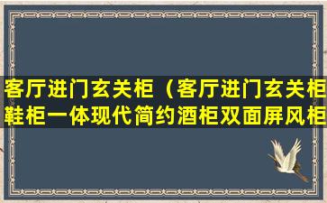 客厅进门玄关柜（客厅进门玄关柜鞋柜一体现代简约酒柜双面屏风柜小户型）