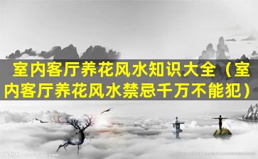 室内客厅养花风水知识大全（室内客厅养花风水禁忌千万不能犯）