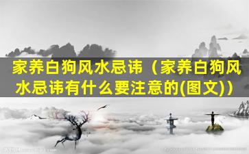 家养白狗风水忌讳（家养白狗风水忌讳有什么要注意的(图文)）