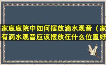 家庭庭院中如何摆放滴水观音（家有滴水观音应该摆放在什么位置好）