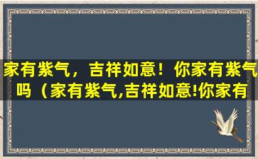 家有紫气，吉祥如意！你家有紫气吗（家有紫气,吉祥如意!你家有紫气吗什么意思）