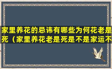 家里养花的忌讳有哪些为何花老是死（家里养花老是死是不是家运不好）