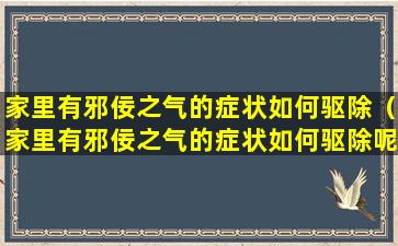 家里有邪佞之气的症状如何驱除（家里有邪佞之气的症状如何驱除呢）