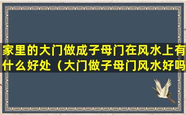 家里的大门做成子母门在风水上有什么好处（大门做子母门风水好吗有没有问题）