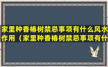 家里种香椿树禁忌事项有什么风水作用（家里种香椿树禁忌事项有什么风水作用呢）