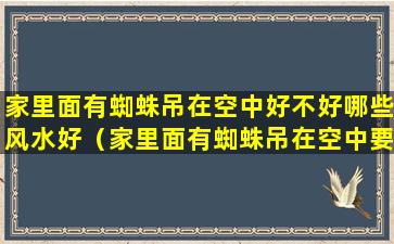 家里面有蜘蛛吊在空中好不好哪些风水好（家里面有蜘蛛吊在空中要怎么处理）