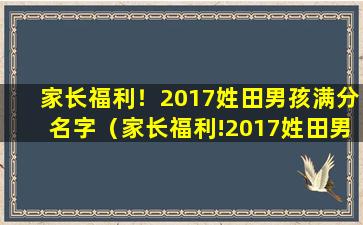 家长福利！2017姓田男孩满分名字（家长福利!2017姓田男孩满分名字）