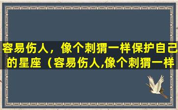 容易伤人，像个刺猬一样保护自己的星座（容易伤人,像个刺猬一样保护自己的星座）