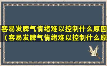 容易发脾气情绪难以控制什么原因（容易发脾气情绪难以控制什么原因55岁左右）