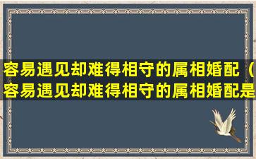 容易遇见却难得相守的属相婚配（容易遇见却难得相守的属相婚配是什么）