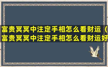 富贵冥冥中注定手相怎么看财运（富贵冥冥中注定手相怎么看财运好不好）