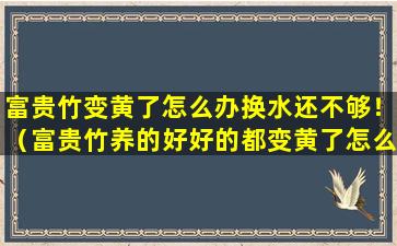 富贵竹变黄了怎么办换水还不够！（富贵竹养的好好的都变黄了怎么办）