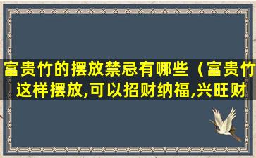 富贵竹的摆放禁忌有哪些（富贵竹这样摆放,可以招财纳福,兴旺财运!你放对了吗）