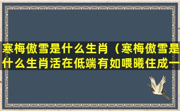 寒梅傲雪是什么生肖（寒梅傲雪是什么生肖活在低端有如喂曦住成一唱好才文）