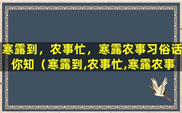 寒露到，农事忙，寒露农事习俗话你知（寒露到,农事忙,寒露农事习俗话你知）