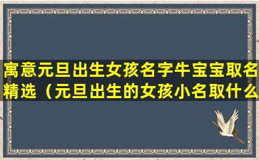 寓意元旦出生女孩名字牛宝宝取名精选（元旦出生的女孩小名取什么好听）