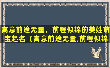 寓意前途无量，前程似锦的姜姓萌宝起名（寓意前途无量,前程似锦的姜姓萌宝起名）