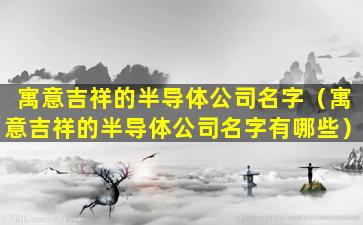 寓意吉祥的半导体公司名字（寓意吉祥的半导体公司名字有哪些）