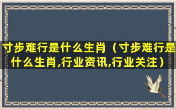 寸步难行是什么生肖（寸步难行是什么生肖,行业资讯,行业关注）