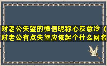 对老公失望的微信昵称心灰意冷（对老公有点失望应该起个什么网名）