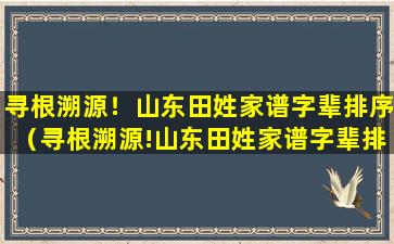 寻根溯源！山东田姓家谱字辈排序（寻根溯源!山东田姓家谱字辈排序）