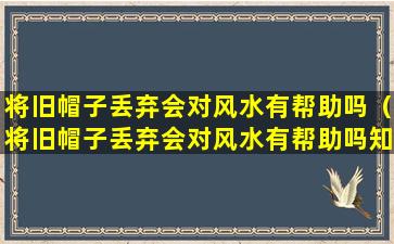 将旧帽子丢弃会对风水有帮助吗（将旧帽子丢弃会对风水有帮助吗知乎）