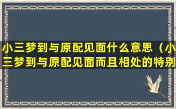 小三梦到与原配见面什么意思（小三梦到与原配见面而且相处的特别好是为什么）