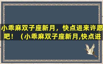 小乖麻双子座新月，快点进来许愿吧！（小乖麻双子座新月,快点进来许愿吧!）