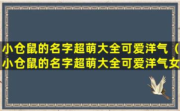 小仓鼠的名字超萌大全可爱洋气（小仓鼠的名字超萌大全可爱洋气女生）