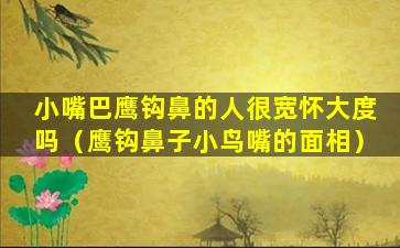 小嘴巴鹰钩鼻的人很宽怀大度吗（鹰钩鼻子小鸟嘴的面相）