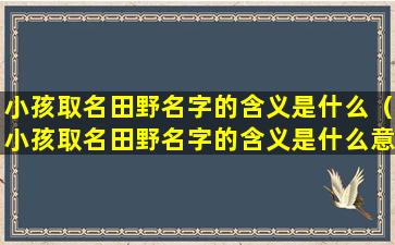 小孩取名田野名字的含义是什么（小孩取名田野名字的含义是什么意思）