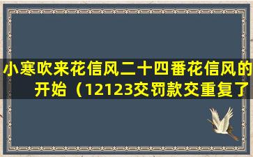 小寒吹来花信风二十四番花信风的开始（12123交罚款交重复了怎么办）