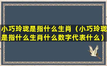 小巧玲珑是指什么生肖（小巧玲珑是指什么生肖什么数字代表什么）