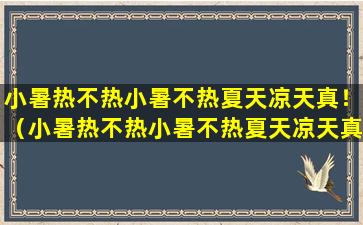 小暑热不热小暑不热夏天凉天真！（小暑热不热小暑不热夏天凉天真!）