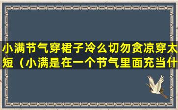 小满节气穿裙子冷么切勿贪凉穿太短（小满是在一个节气里面充当什么意思）