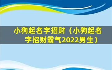 小狗起名字招财（小狗起名字招财霸气2022男生）