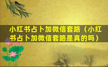 小红书占卜加微信套路（小红书占卜加微信套路是真的吗）