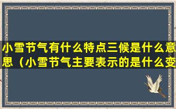 小雪节气有什么特点三候是什么意思（小雪节气主要表示的是什么变化）