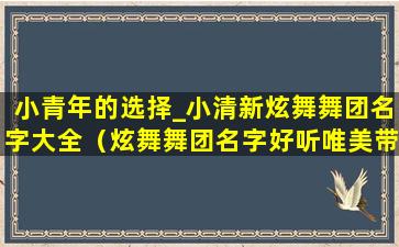 小青年的选择_小清新炫舞舞团名字大全（炫舞舞团名字好听唯美带符号）