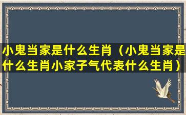 小鬼当家是什么生肖（小鬼当家是什么生肖小家子气代表什么生肖）