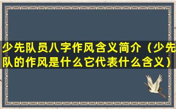 少先队员八字作风含义简介（少先队的作风是什么它代表什么含义）