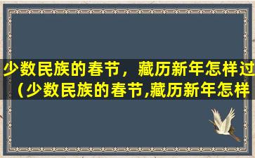 少数民族的春节，藏历新年怎样过（少数民族的春节,藏历新年怎样过）