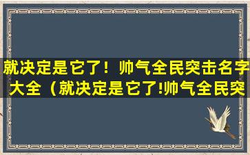 就决定是它了！帅气全民突击名字大全（就决定是它了!帅气全民突击名字大全）