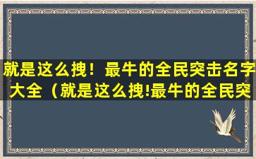 就是这么拽！最牛的全民突击名字大全（就是这么拽!最牛的全民突击名字大全）