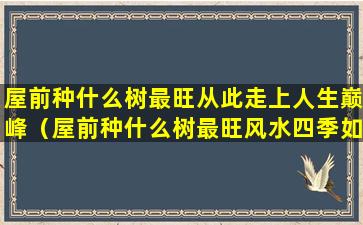 屋前种什么树最旺从此走上人生巅峰（屋前种什么树最旺风水四季如春）