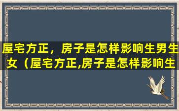 屋宅方正，房子是怎样影响生男生女（屋宅方正,房子是怎样影响生男生女）