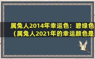 属兔人2014年幸运色：碧绿色（属兔人2021年的幸运颜色是什么）