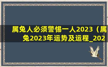 属兔人必须警惕一人2023（属兔2023年运势及运程_2022年属兔人的全年运势）